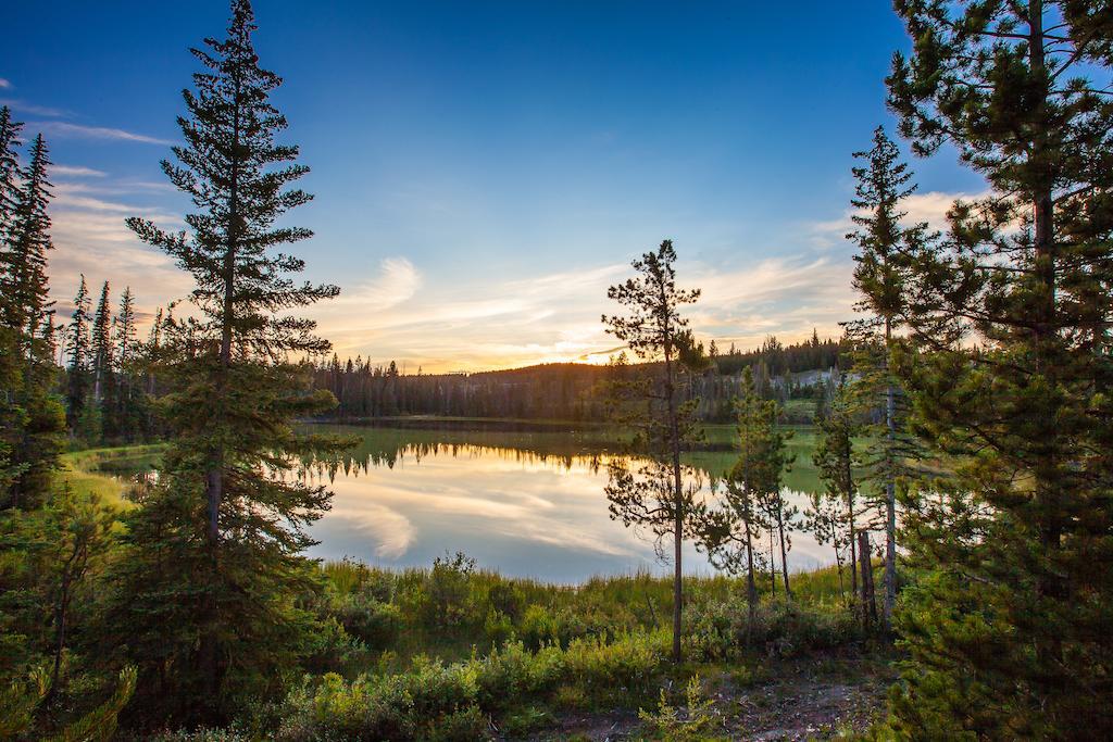 Lac Le Jeune Wilderness Resort Камлупс Екстер'єр фото